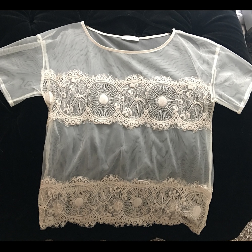 Gorgeous Lace Blouse by Tea n Rose